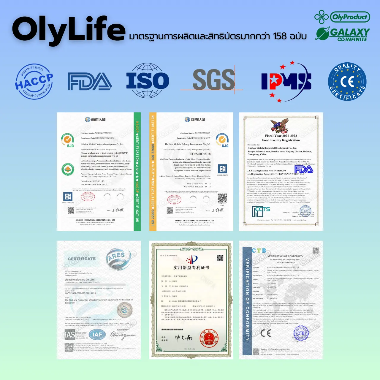 Wht Certificate Th Home - OlyLife Thailand : Master TH